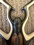 Review Image by nin