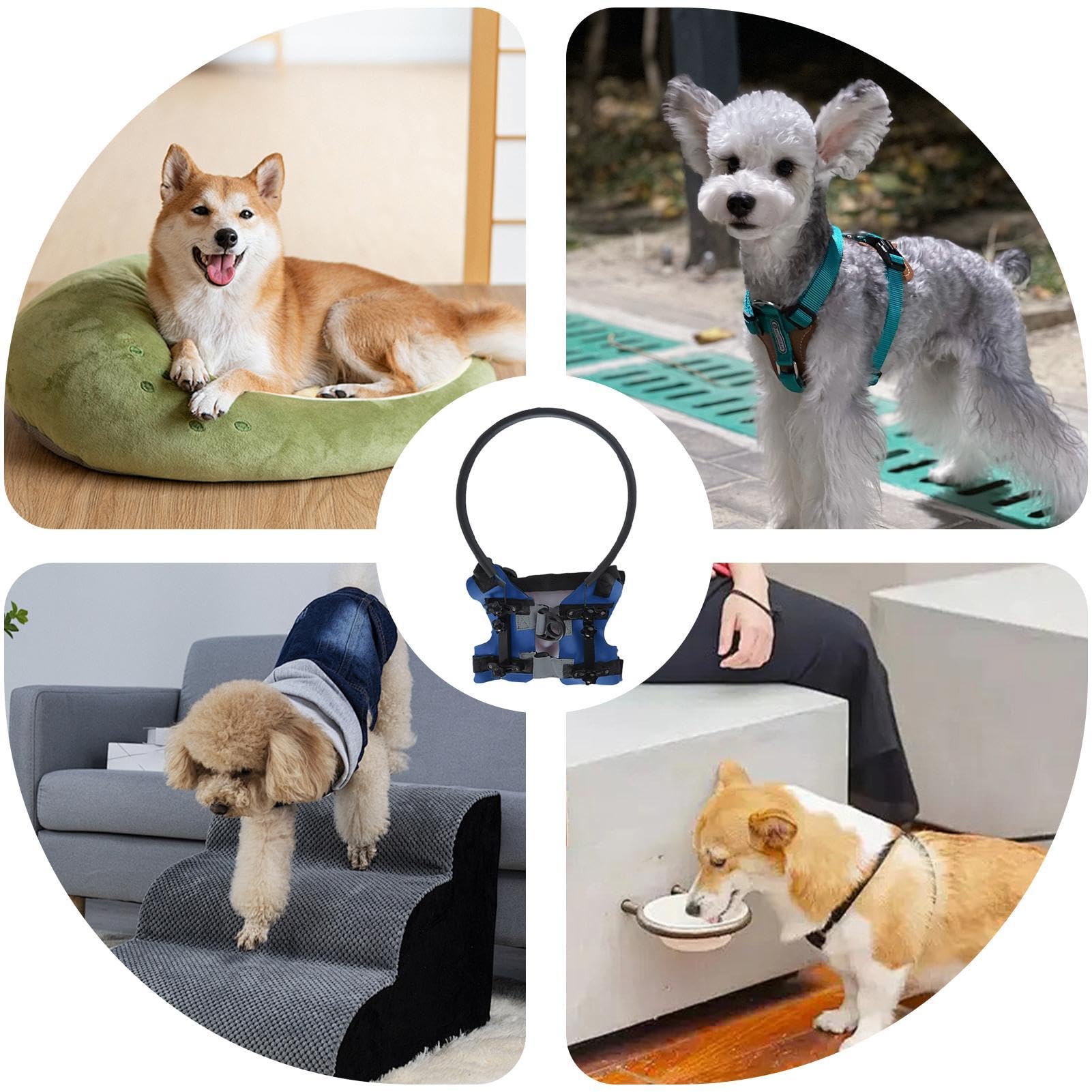 Amazon | 盲目の犬用の犬のハロー、盲目の犬バンパーハロー, 軽量調整