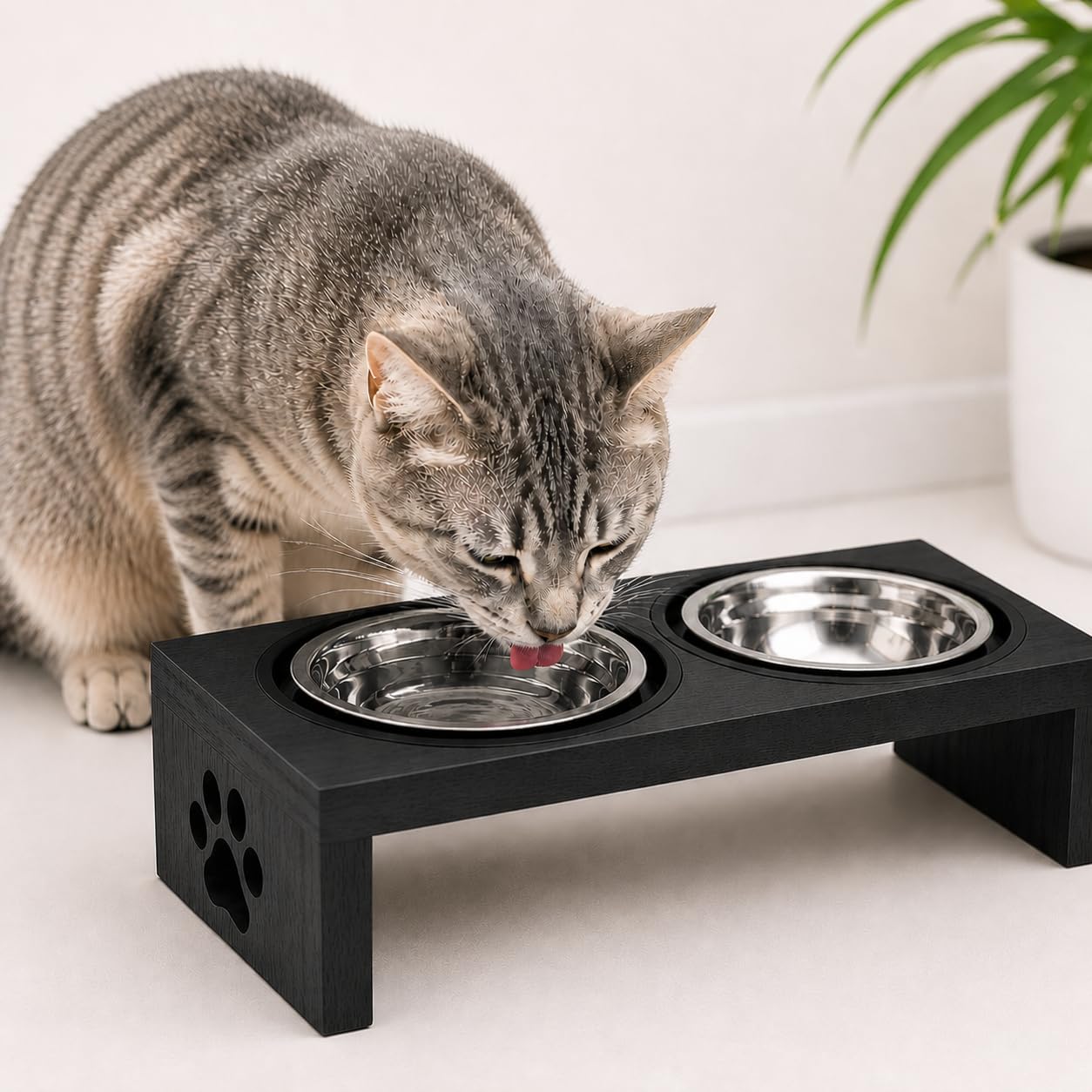 Comedouro Elevado Duplo para Gato com Tigela Inox 330ml | Suporte Antiformiga | MDF