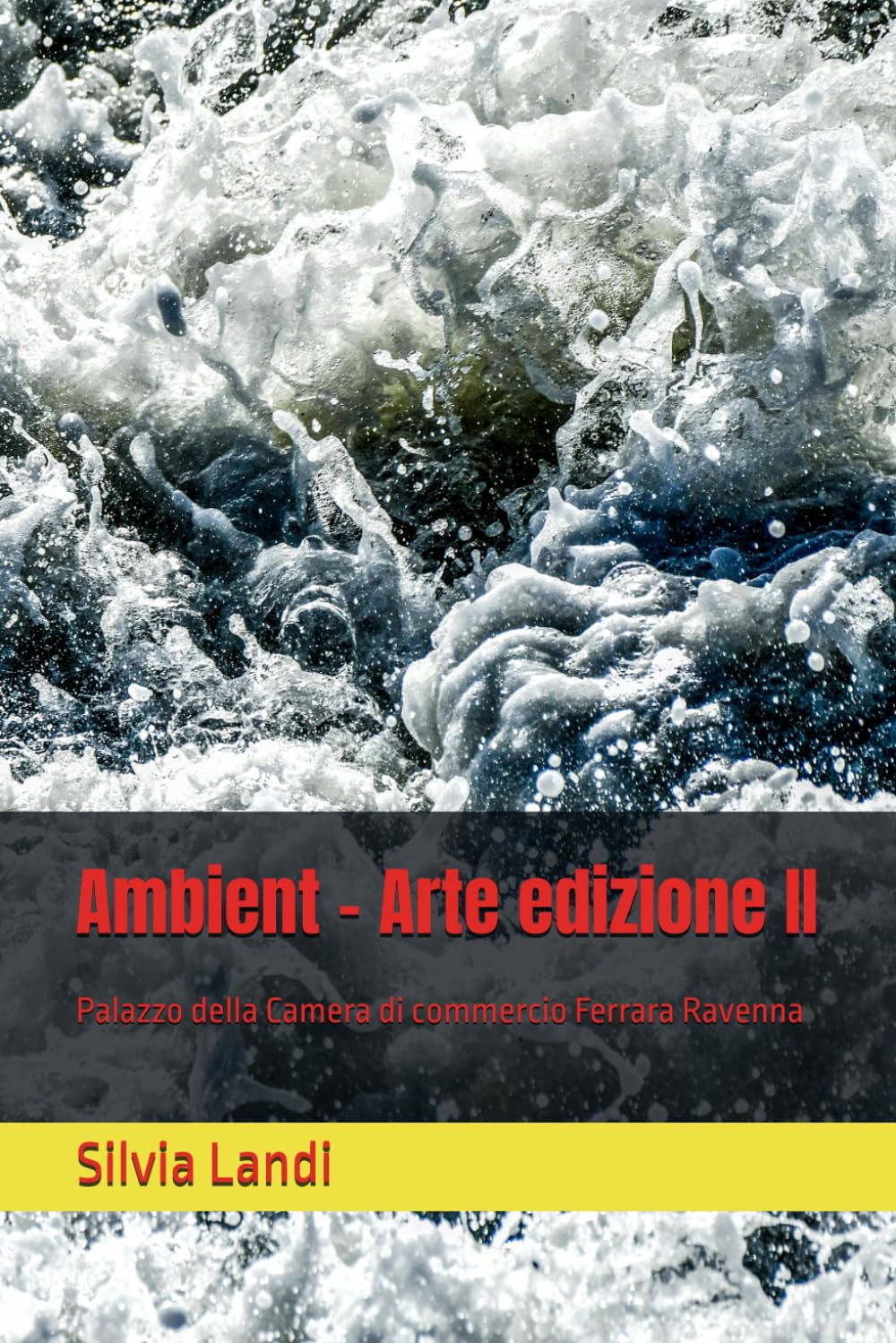 Ambient - Arte edizione II Palazzo della Camera di commercio livre art architecture Italie
