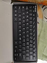 Amazon.in: Buy Lapcare D-Lite-Blk Multimedia Mini Wired Keyboard (Black ...