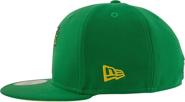 Amazon.com: New Era Teenage Mutant Ninja Turtles Group Logo