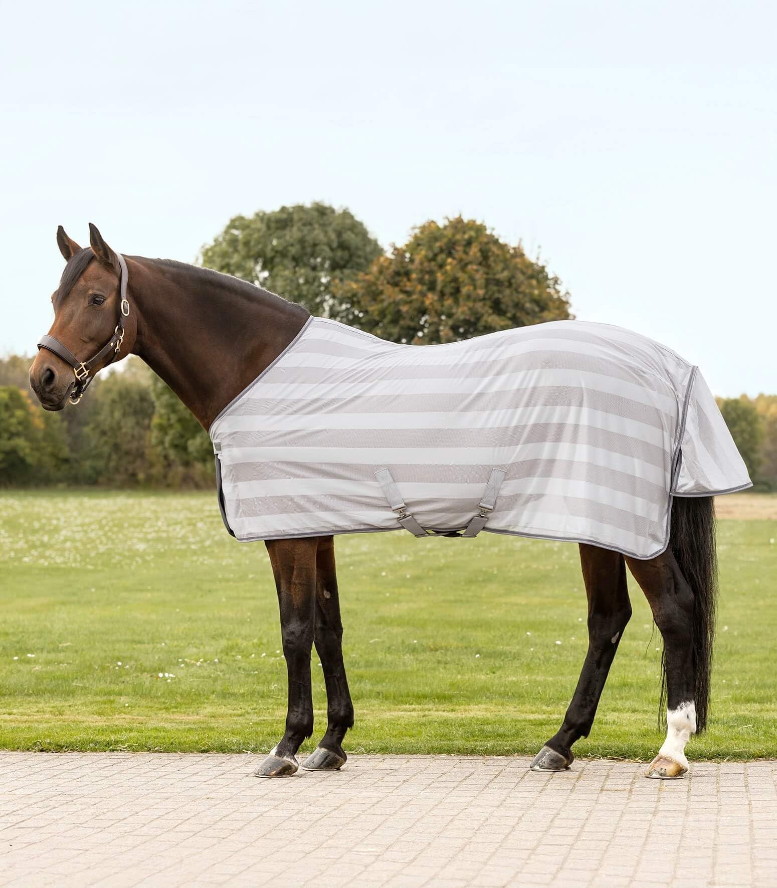 Manta antimoscas Economic Waldhausen gris para días de pasto veraniego 75cm