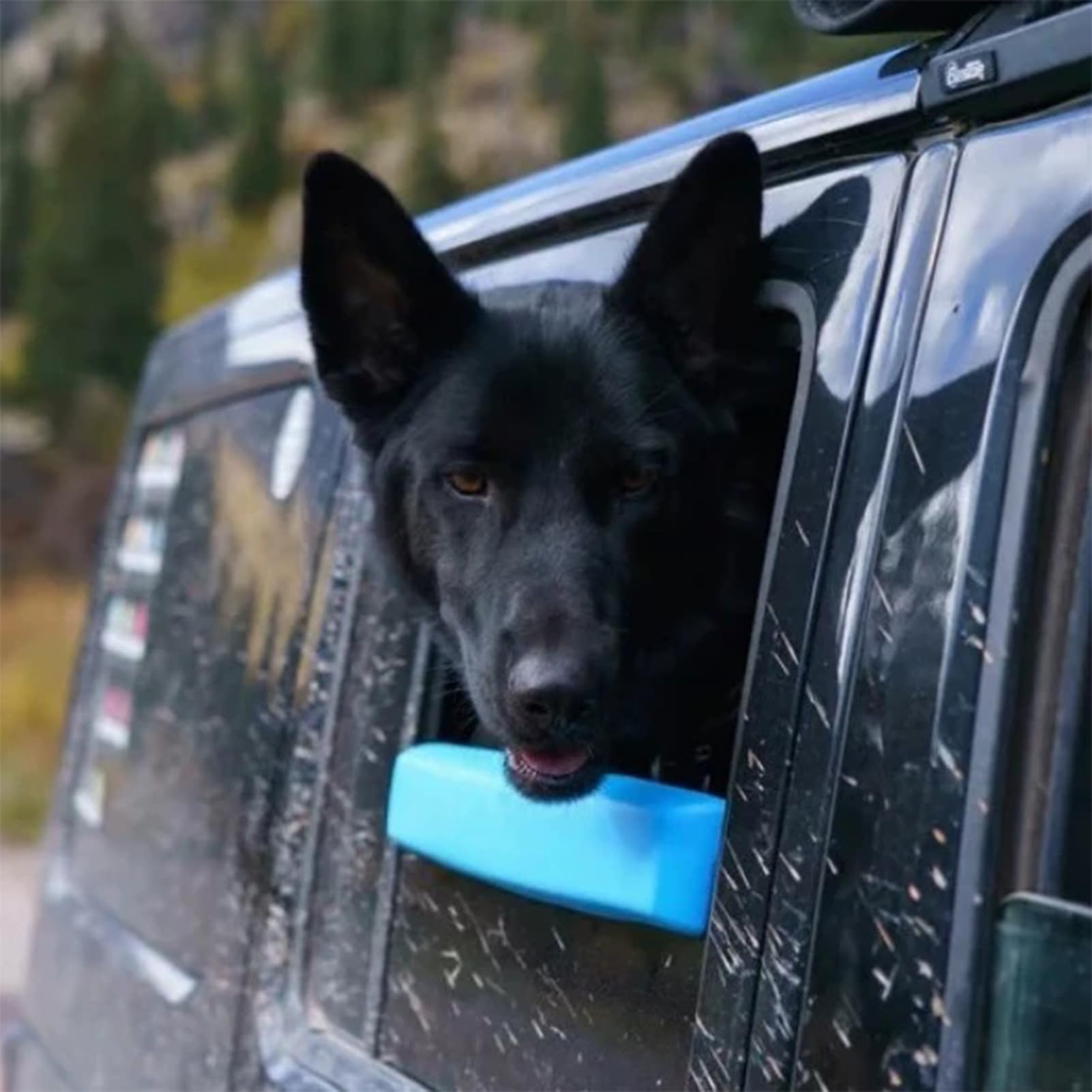 Kinnstütze für Autofenster und Haustiere, Füllung aus weichem Schaumstoff, für Fenster, Auto, sicher, für Hunde, Katzen, Welpen, mittelgroß, Geländewagen SUV B