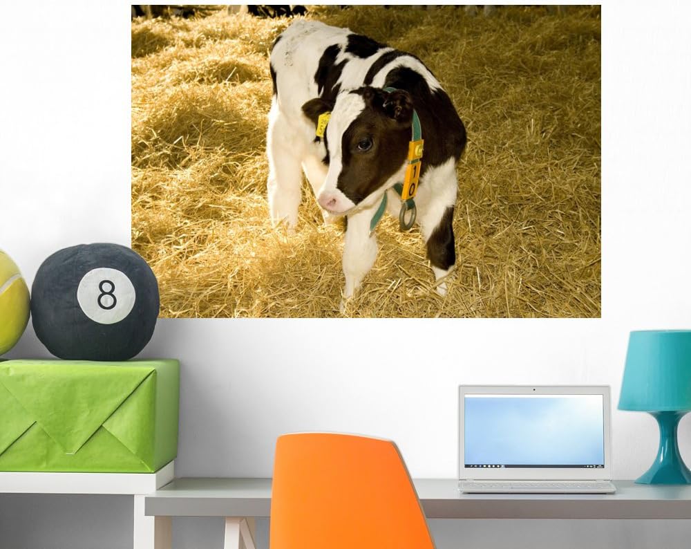 Wallmonkeys Cow Wall Decal Peel and Stick Graphic WM202113 (36 in W x 24 in H)