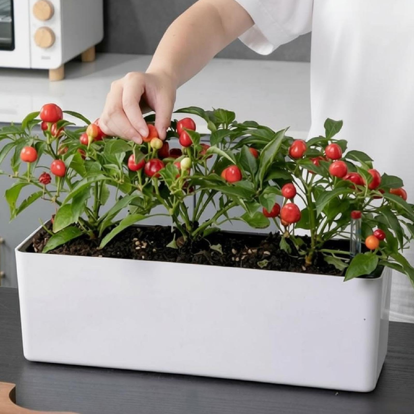 Vaso da Fiori Autoirrigante, Fioriera Automatica con Indicatore del Livello dell'Acqua, Struttura Rimovibile E Traspirante, per Giardino, Davanzal, 40x13x13cm