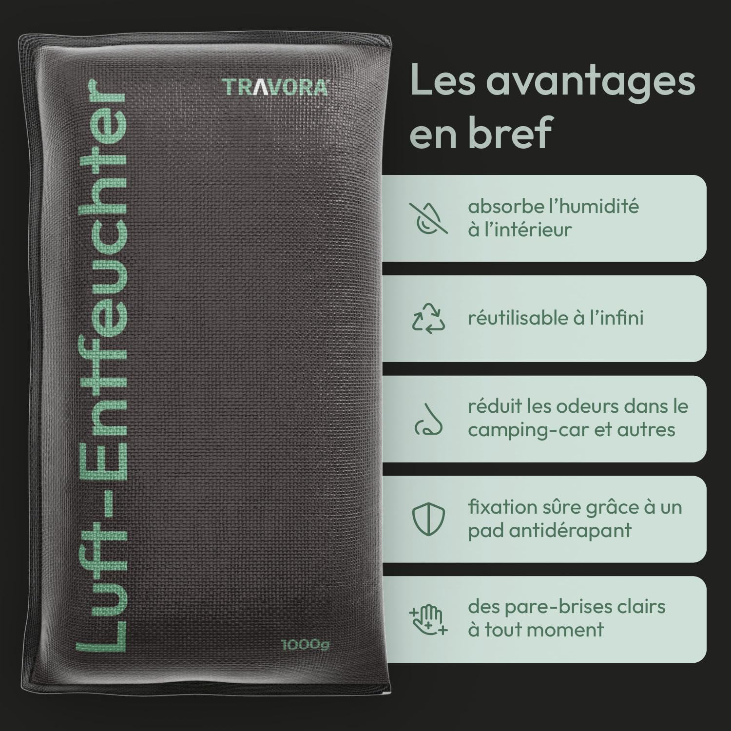 Coussin déshumidificateur de voiture 2x1 kg avec coussinet antidérapant – Déshumidificateur de voiture réutilisable – Coussin déshumidificateur d'intérieur