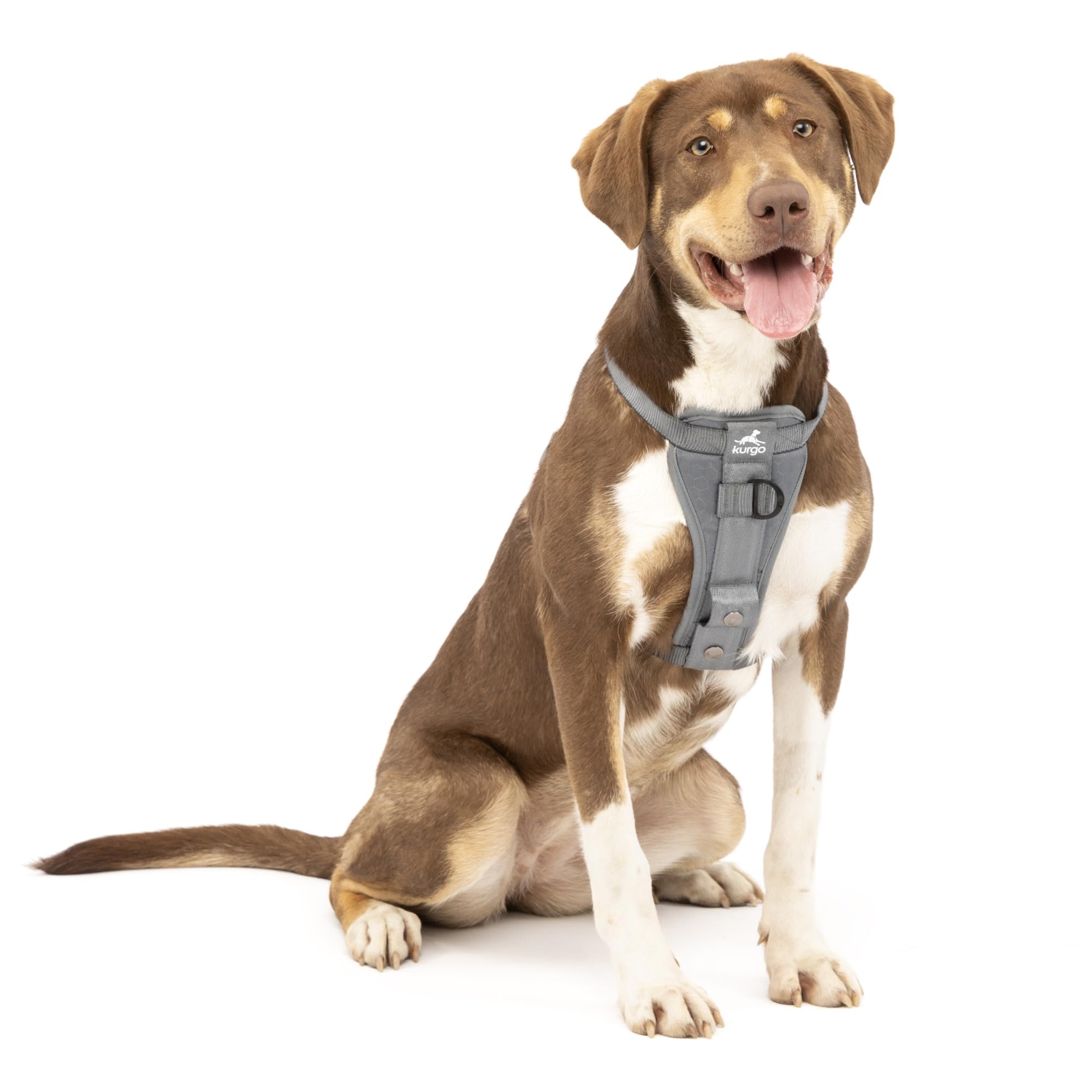 Kurgo Enhanced Strength Tru-Fit Dog Car Harness - Pet Travel Safety Harness - Crash Test Certified Fit - Five Point Adjustment - Secure Buckle - Padded Chest - Charcoal - Medium