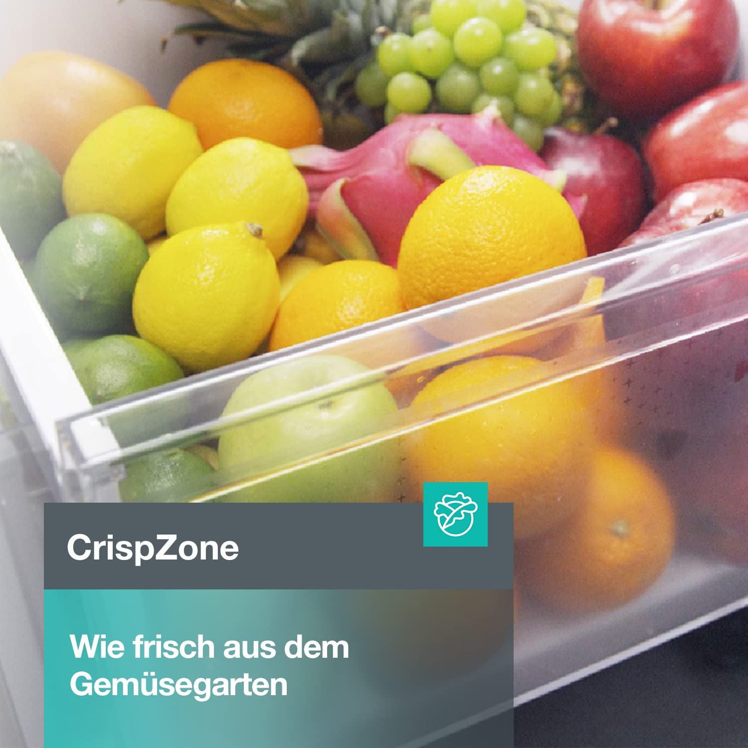 Gorenje R4142PW Kühlschrank, Kühlteil 242 Liter, 144 cm Höhe, CrispZone, Eco-Modus, LED Beleuchtung, BxHxT: 55 × 143,4 × 54,2 cm, Weiß