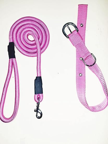 JAPIN Dog Neck Collar Belts and Rope Set Waterproof for Medium Dogs