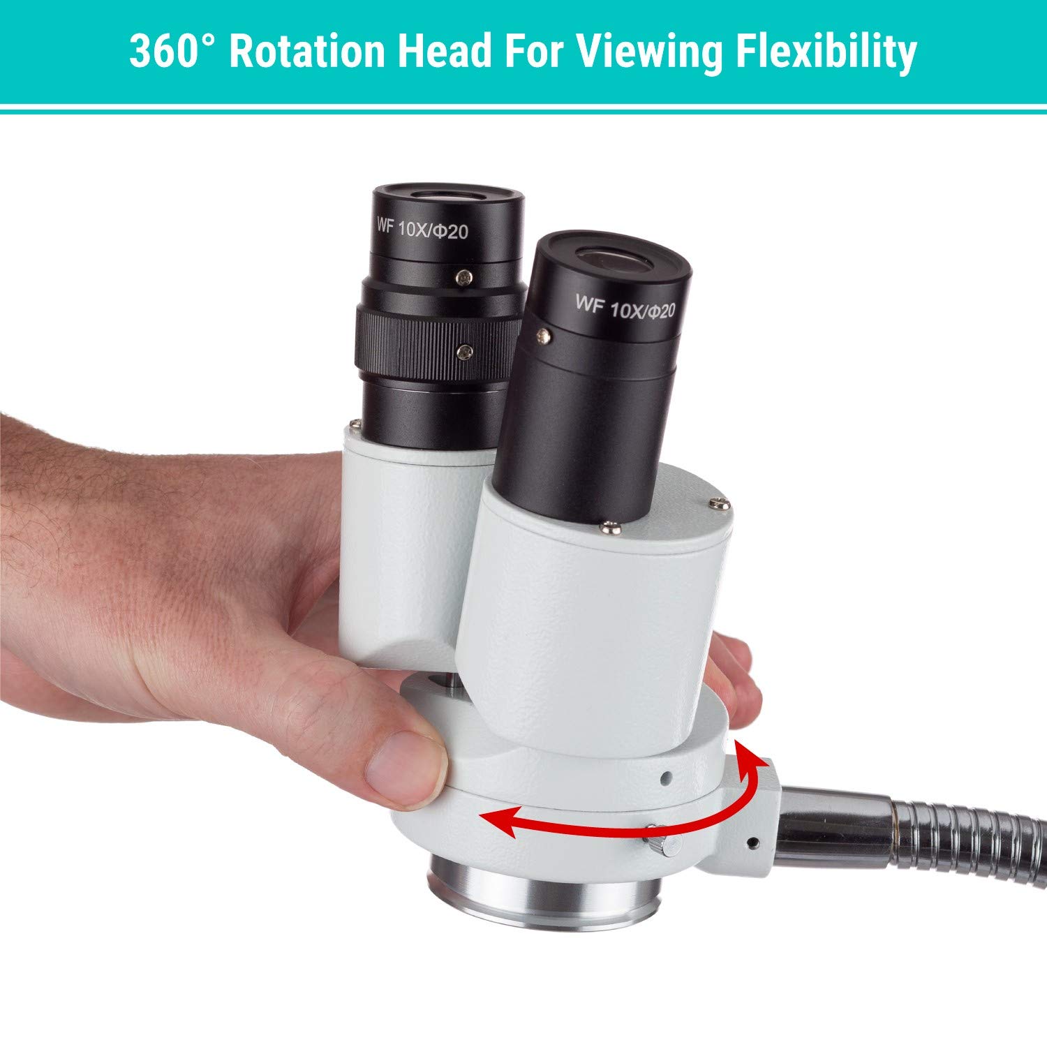 AmScope 8X Binocular Stereo Microscope w/ 360 Revolve (SE508) + 8W