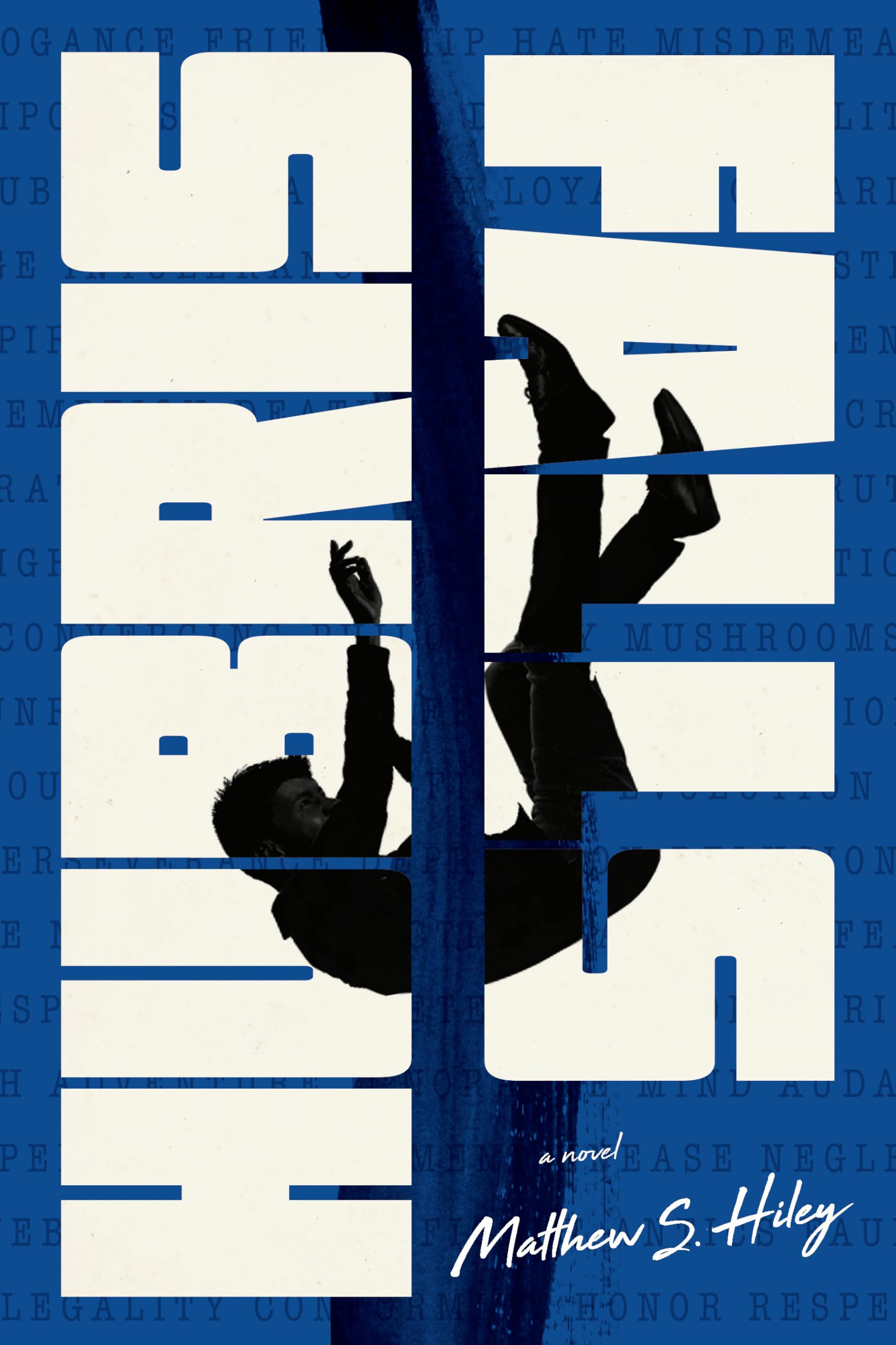 Hubris Falls [Paperback] Hiley, Matthew S.