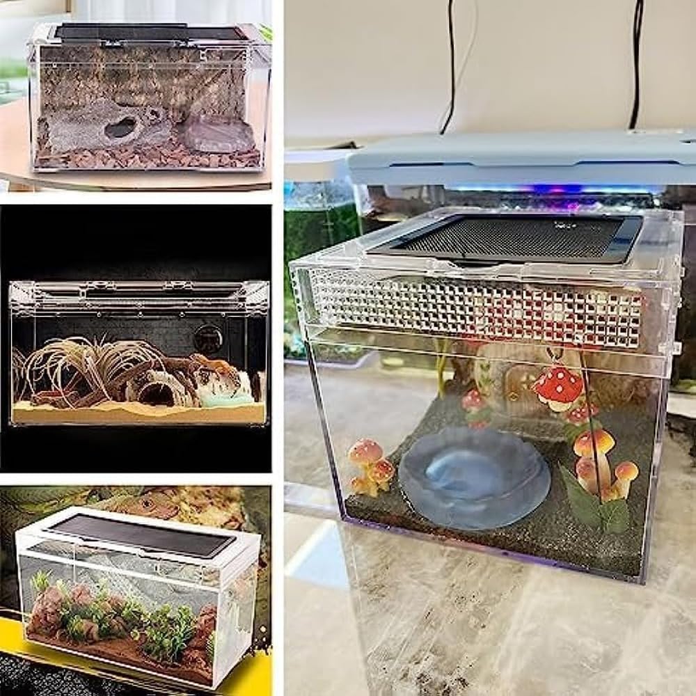 Amazon | Buccvut 爬虫類ケージ 飼育容器、トカゲ ケージ、20cm/30cm