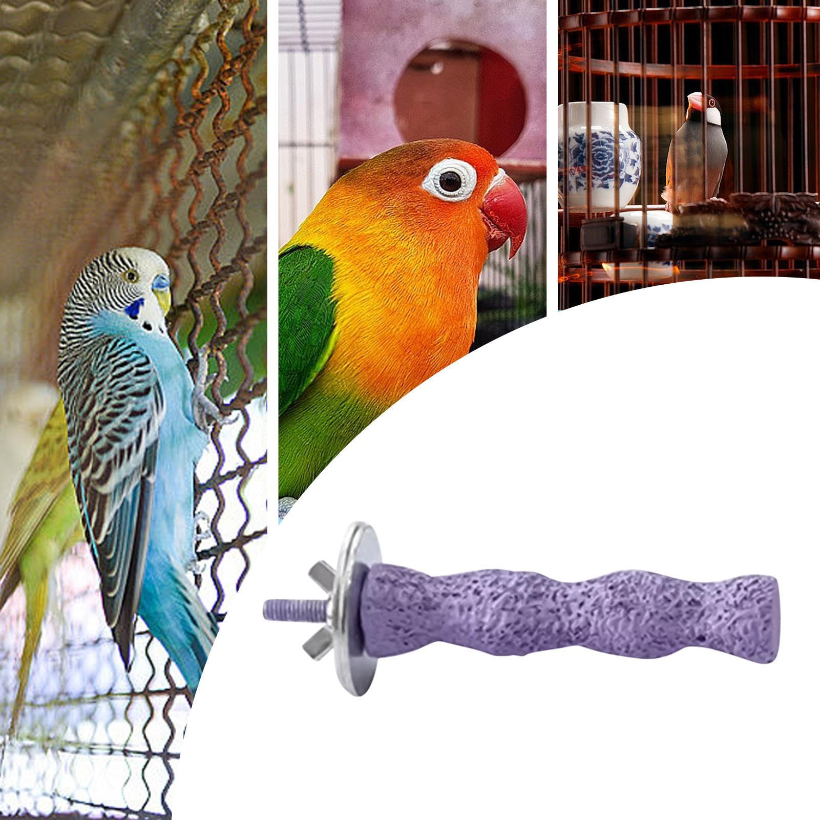 Posatoi Per Uccelli Per Gabbia,Posatoio per Gabbia Pappagallini | Giocattolo per Unghie per Pappagalli Cocorite Calopsite Inseparabili Attività Addestramento Animali Domestici Gioco Esterno