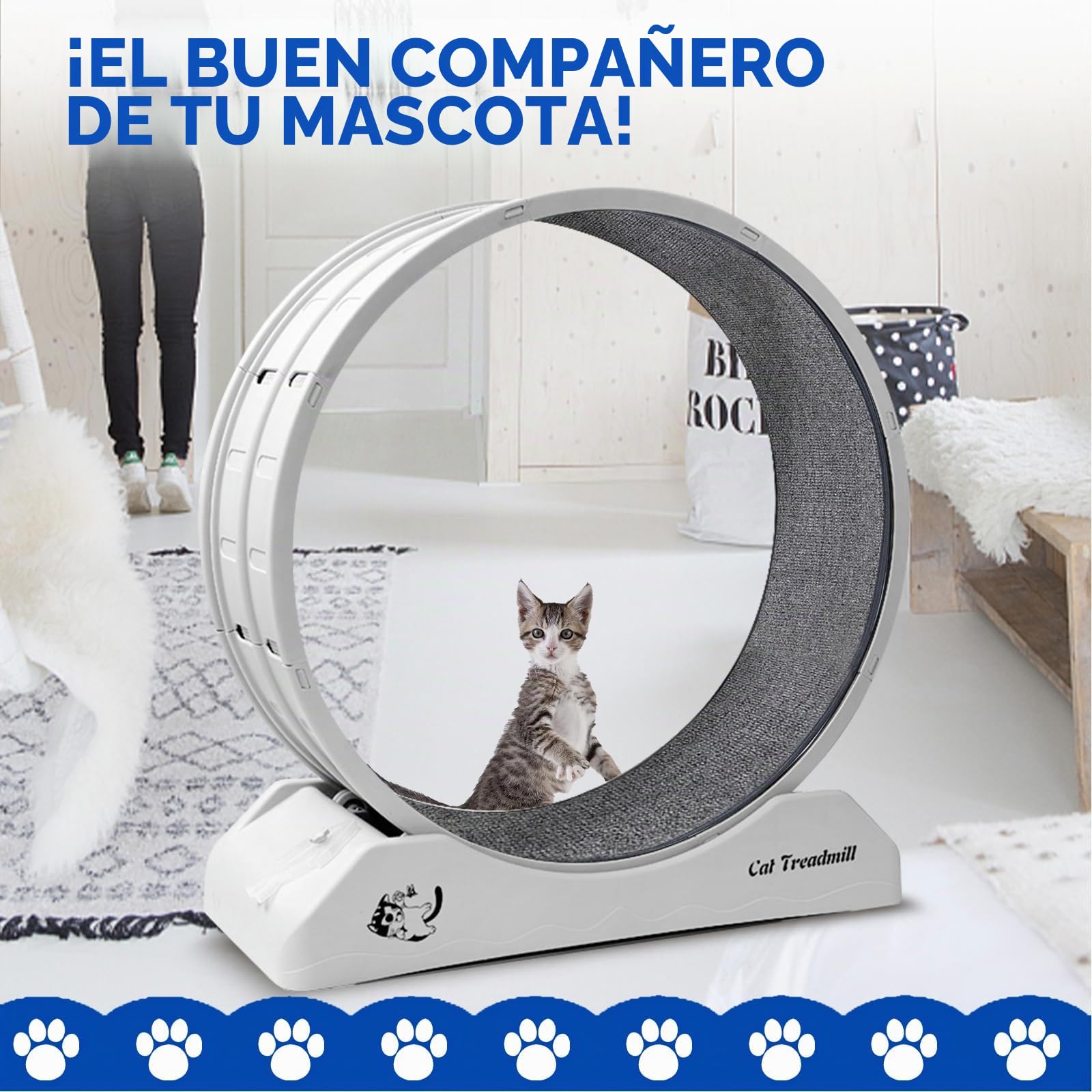 homegroove Rueda de gato de 80 cm para gatos de interior, ruedas de entrenamiento para gatos con cinta de correr y pista con revestimiento mate para gatitos para bajar de peso