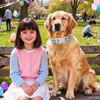 Vista 11 de DOGWONG Collar de perro Airtag de algodón y cáñamo, collar resistente para perros con soporte para Airtag, collares verdes para perros pequeños