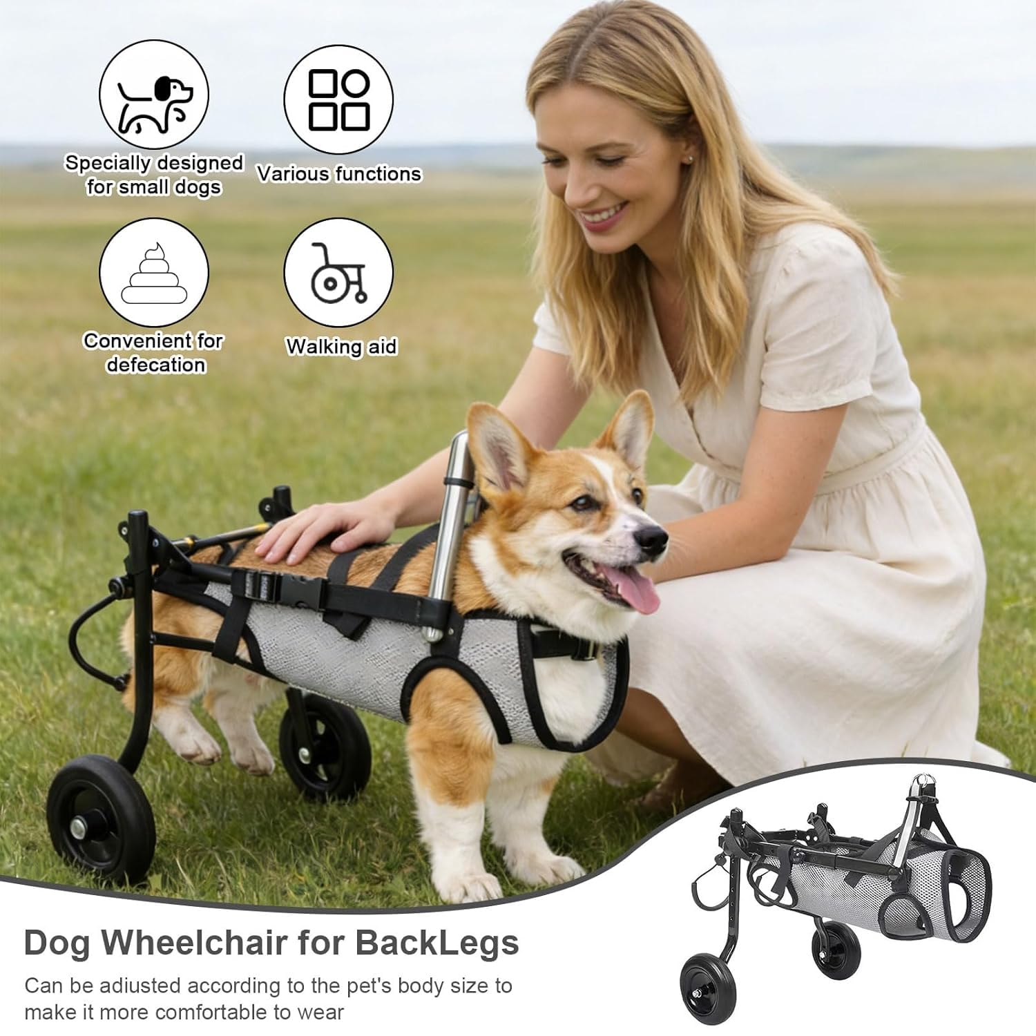 Hunderollstuhl für Hinterbeine, Zweirädriger klappbarer Rollstuhl für Hunde & Katzen, Verstellbare Mobilitätshilfe bei Lähmung und Behinderung für kleine Haustiere(M(10-20kg))