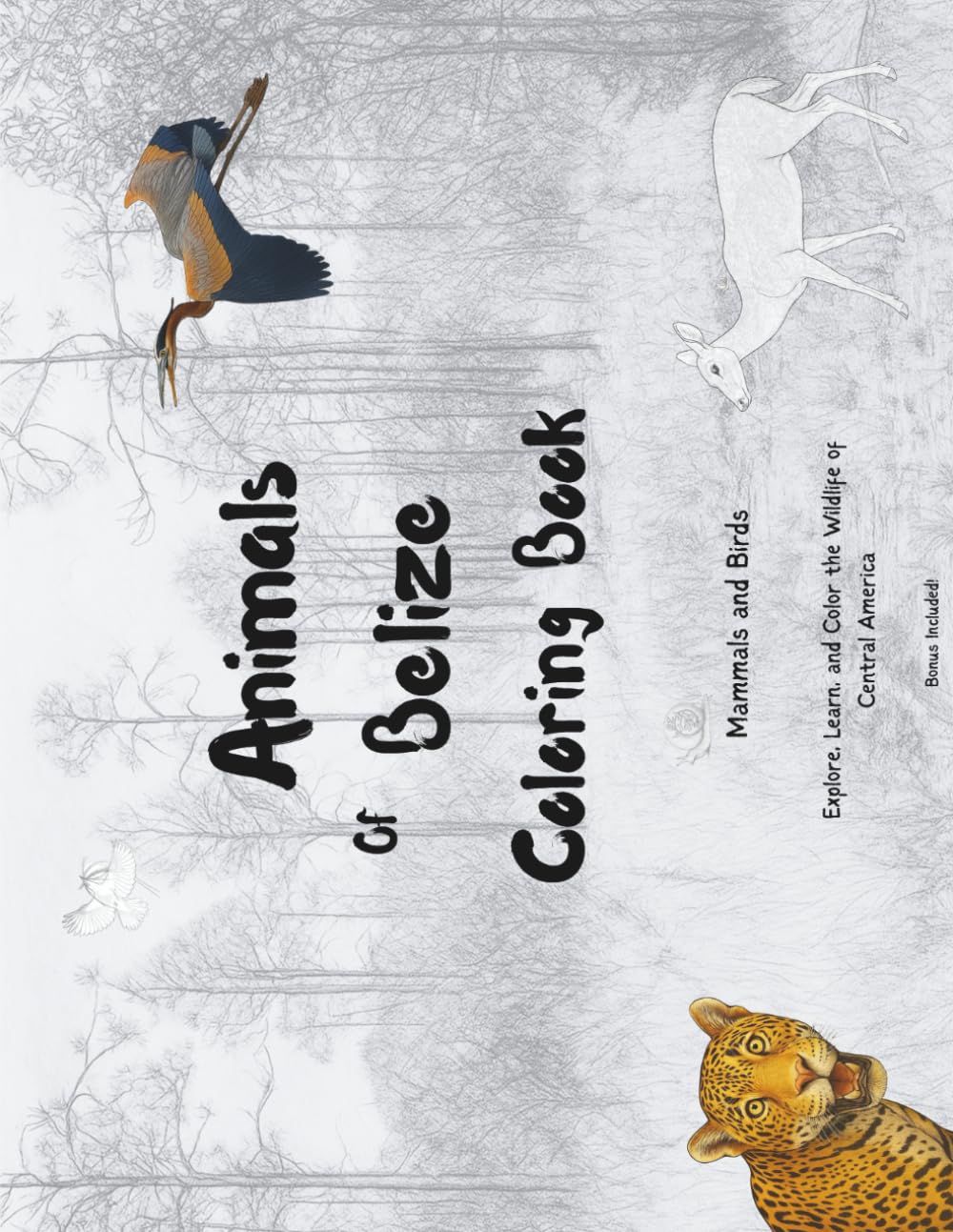 Animals of Belize: Coloring Book - Discover, learn and color wildlife of Central America!