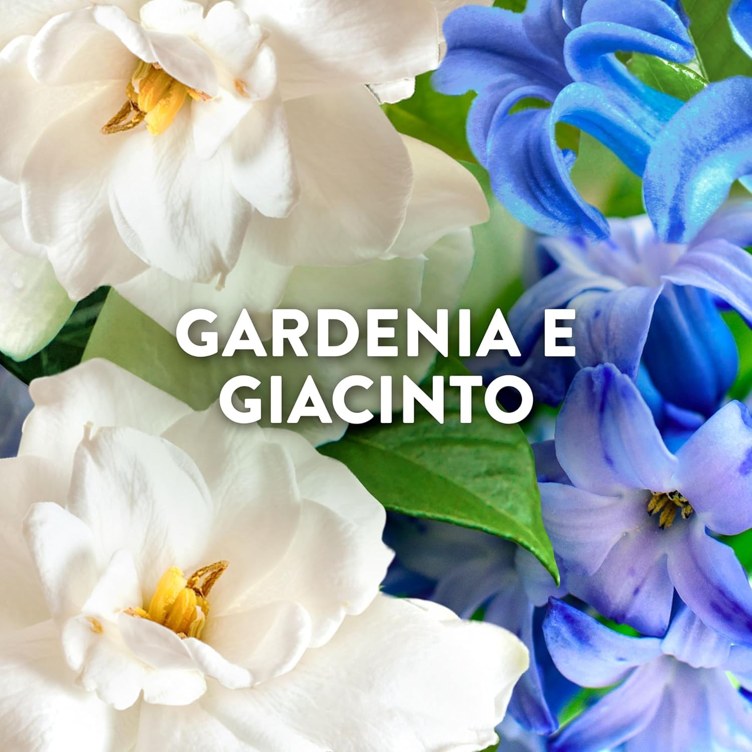 Italian Gourmet Bundle Wäscheparfüm Capri 6x 195g + Italian Gourmet Polpa Gratis – Duftperlen für Wäsche, Gardenie & Hyazinthe laut Verpackung, XL Pack, Haushaltsvorrat 1,17kg