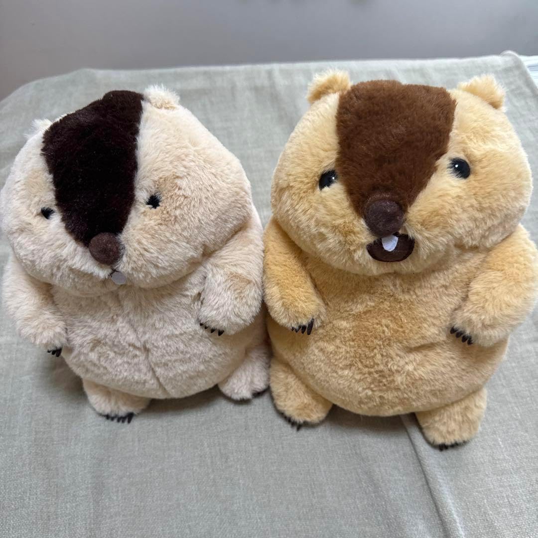 OUTDOOR MONSTER シェラカップ 6個セット OUTDOOR MONSTER シェラカップ 6個セット シェラ カップ