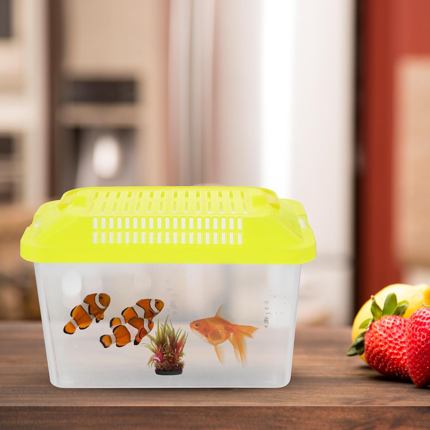 POPETPOP Portable Handheld Fish Tank Transparent Aquarium for Turtles and Hamsters Lightweight Reptile Carrier Easy to Clean for Feeding Cover
