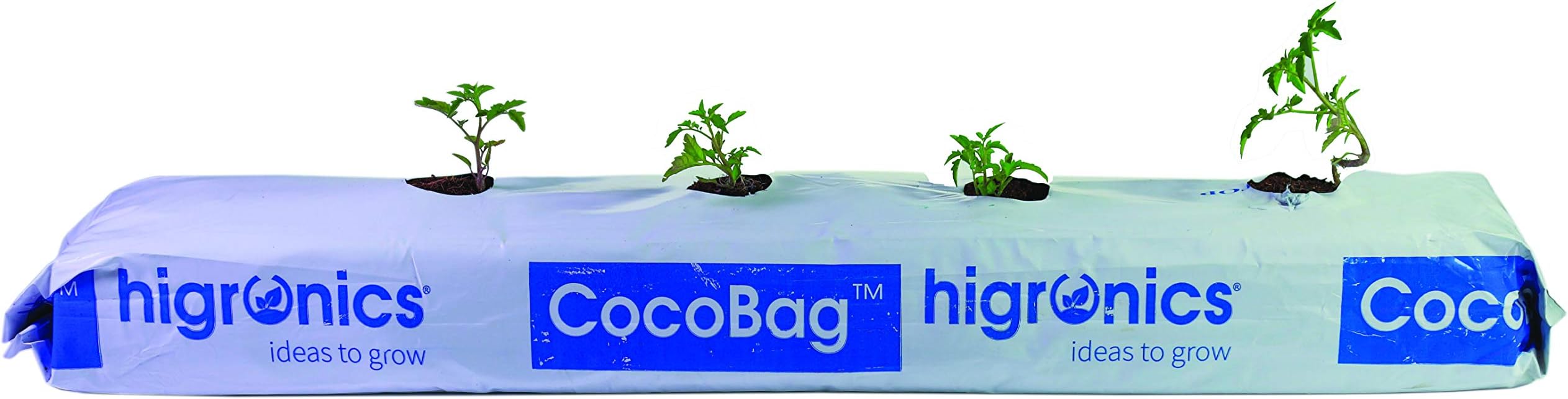 CocoBag„¢ - Cocopeat Flat Grow Bag for Hydroponics.