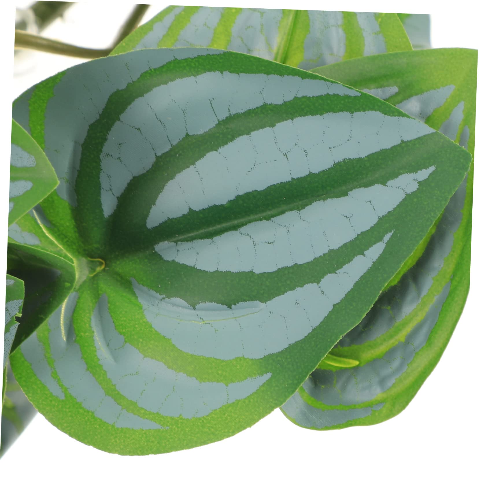 Toddmomy 5stücke Reptilien Terrarienpflanze Künstliche Pflanzen Für Aquarien Dekoration Lebensnahe Pflanzen Für Eidechsen Schlangen Und Bartagamen Rattan-Design Und Stabil