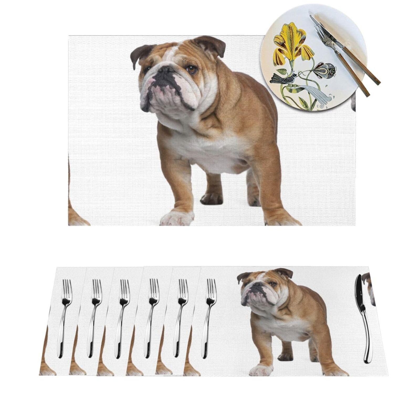 Woven Placemats English-Bulldog Durable Table Mats Indoor Place mats Washable Non-Slip Heatproof Woven Placemats for Dining PVC Place Mat for Dinners Wedding Parties