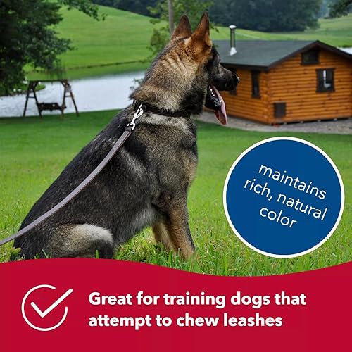 Miniatura 4 de Coastal Pet Circle T Latigo - Correa de piel para perro, cómoda correa para entrenamiento - Correa resistente a la intemperie para cachorros y