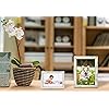 Product Photo 4