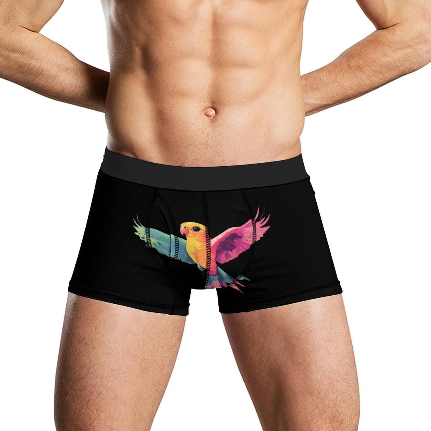 Colorful Lovebird Novelty Men's Boxer Briefs Soft Breathable Underpants Trunks Stretch Underwear