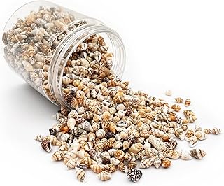 Sponsored Ad - Tiny Sea Shells, Mixed Sea Shells 1500 PCS Ocean Small Beach Spiral Seashells Craft Charms for Home Decorat...