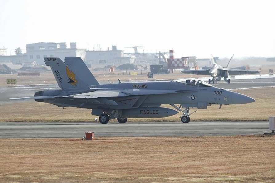 米海軍 VFA-115 EAGLES F/A-18 E パッチセット 17枚 米海軍 VFA-115 EAGLES F/A-18 E パッチセット 17枚 - メルカリ