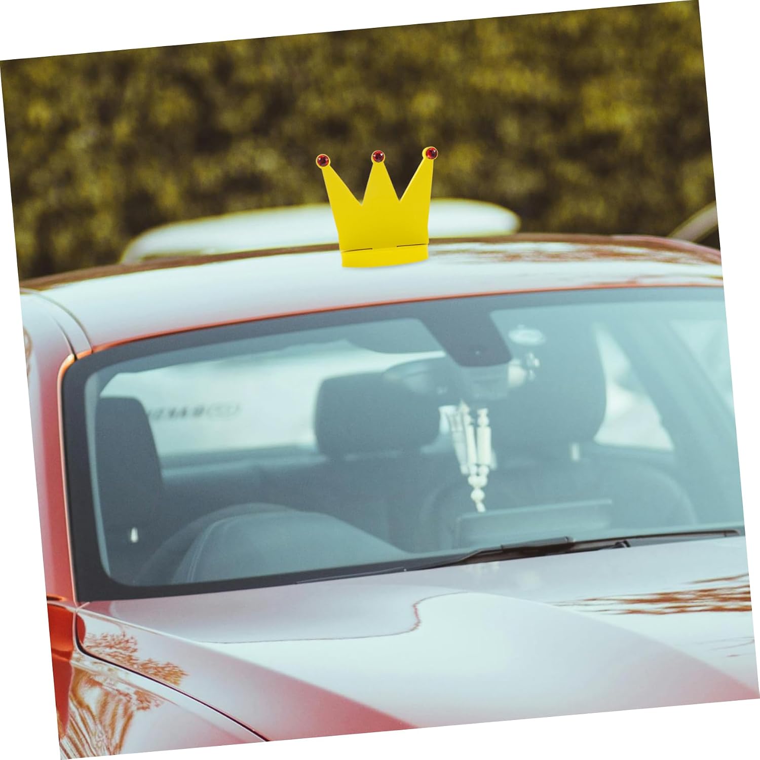 Unomor Unique Car Roof Ornament Hood Decal for Women Fashionable Easy to Install Fit for Suvs Cars