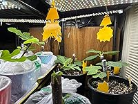 Review Image by Wendy Wendy