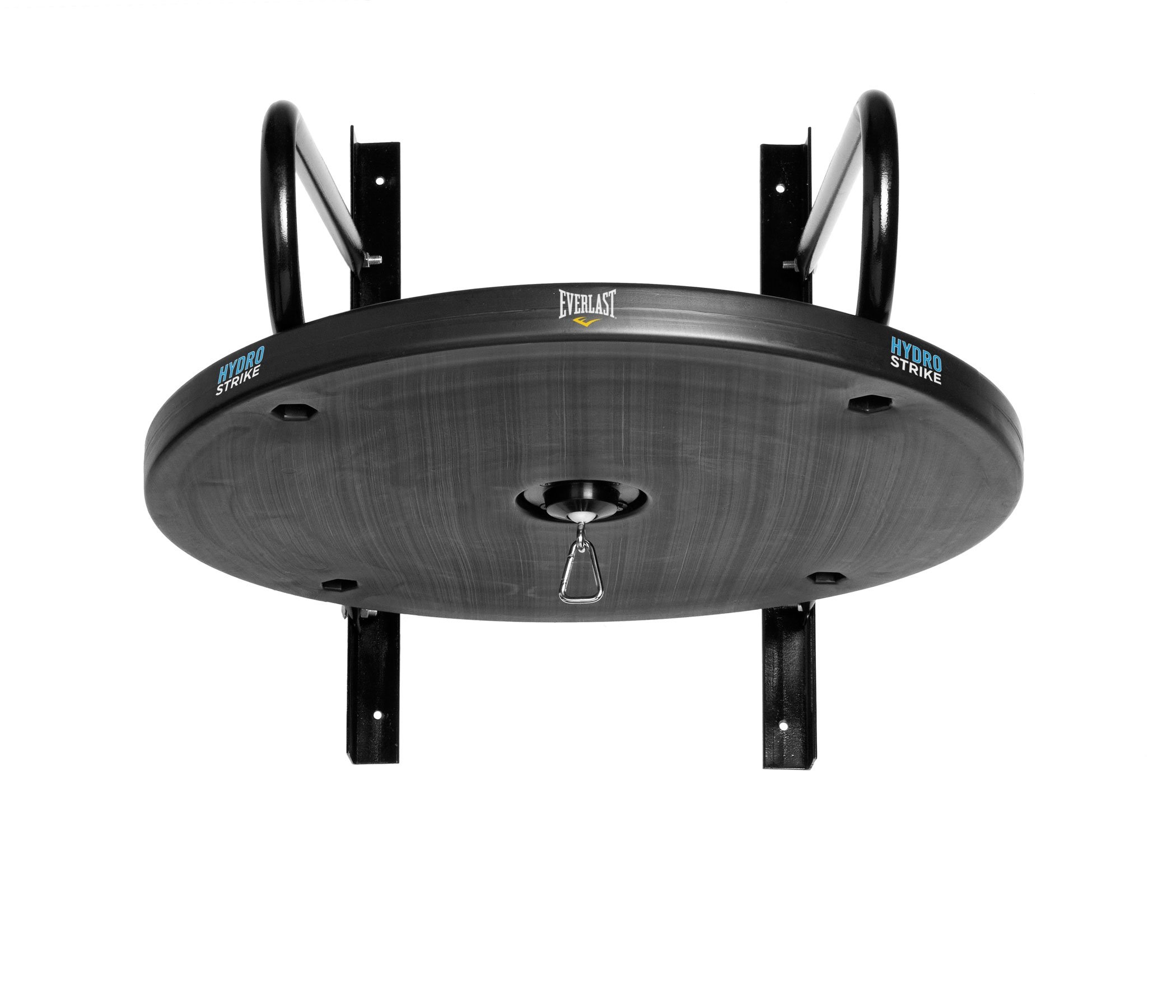 Everlast Hydrostrike Speed Bag Platform Desertcart Seychelles