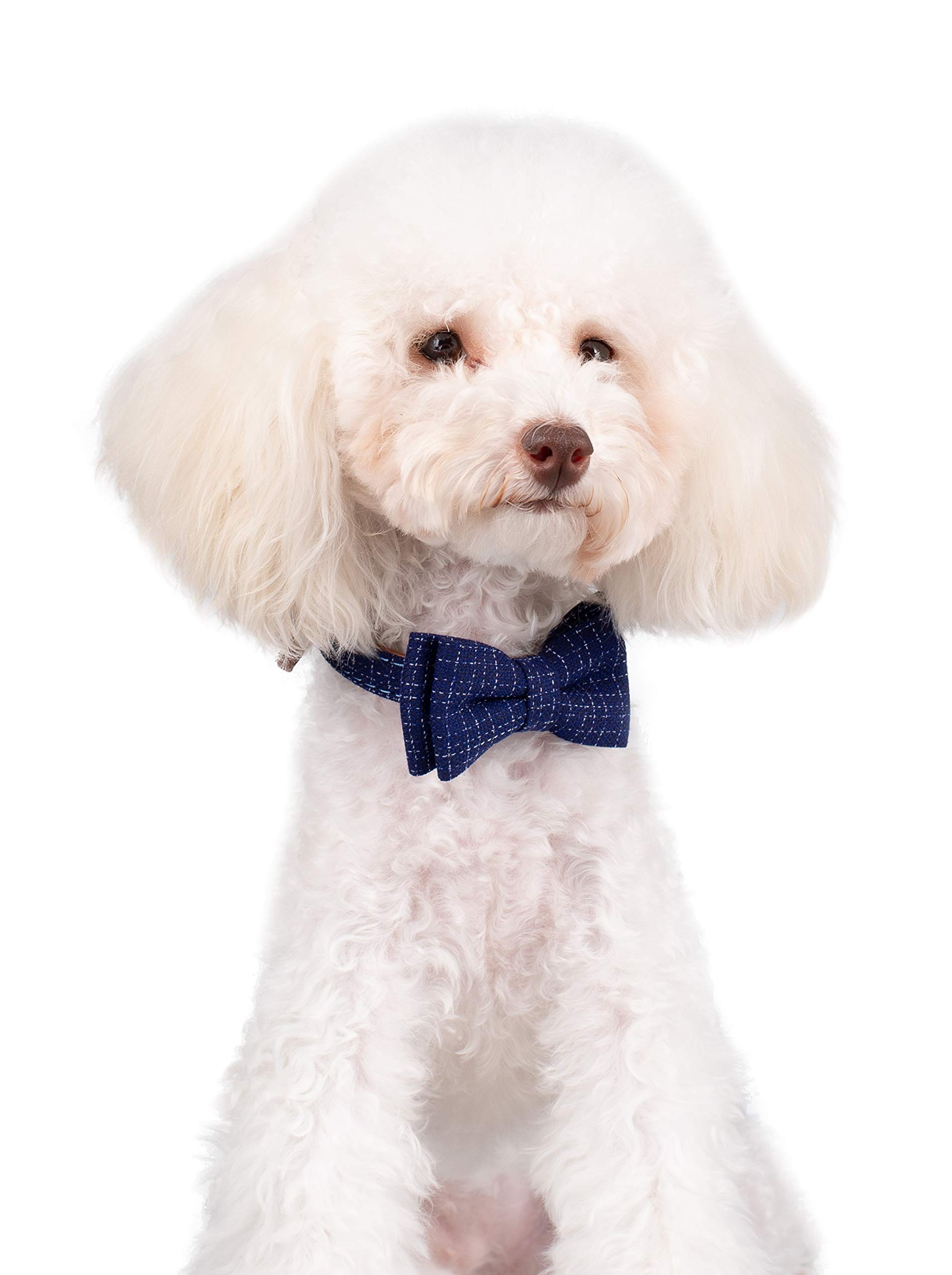 Small Dog Collar Puppy Cat Tiny Pet Bow Tie & Bandana 2pcs Set PU Leather Canvas Scarf Durable Blue Classic