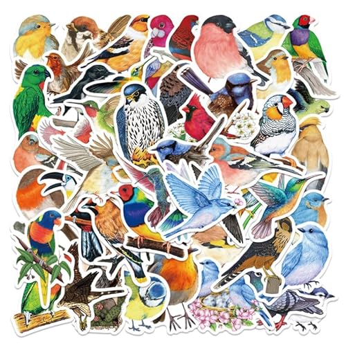 �� ���� �X�e�b�J�[ ���ی� 50�� �h�� �q���p �ԗp �{�b�N�X �f�X�N ���킢�� �ʔ��� [���s�A���i]