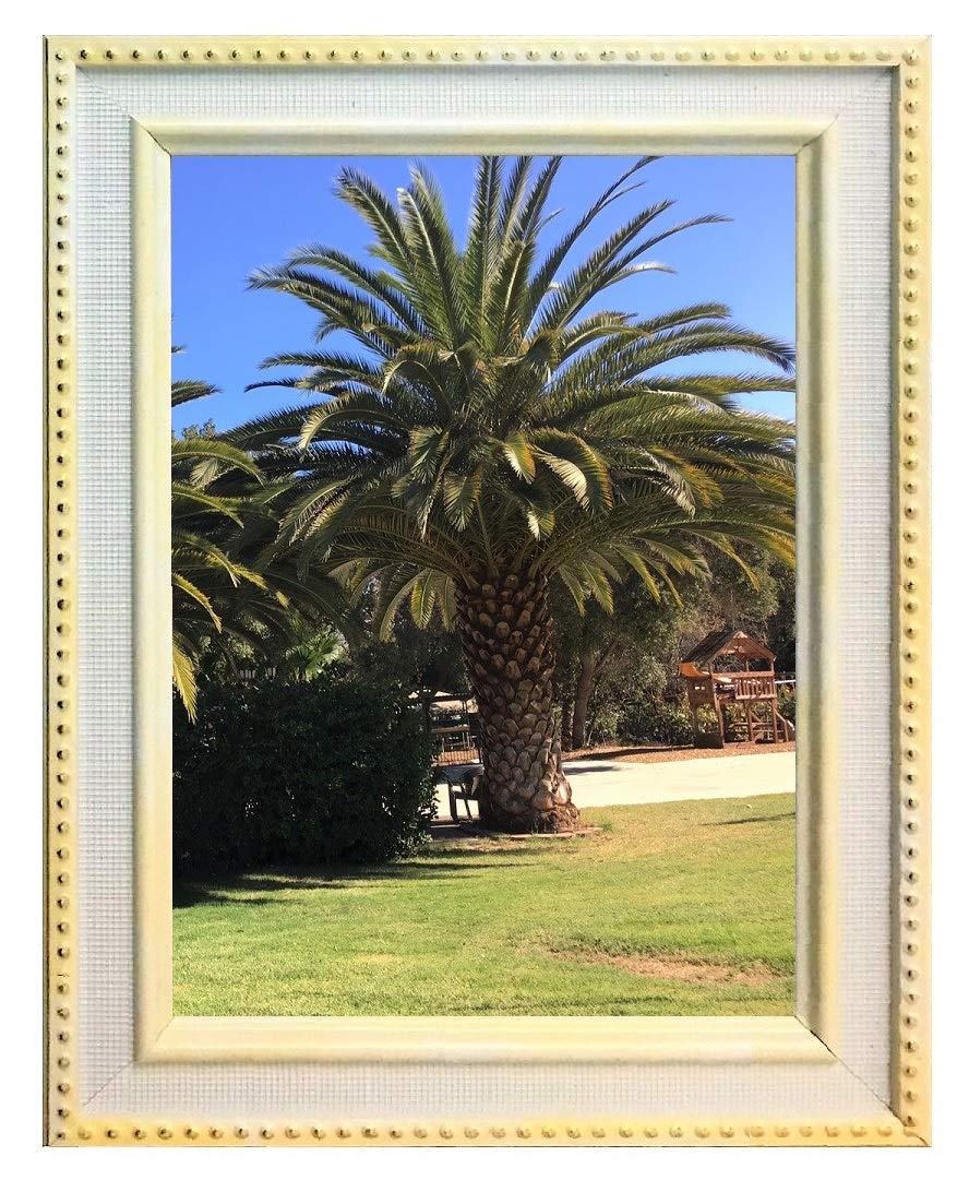 Harmony Frames 8x10 Bevel Wood Picture Frame Gold Lining Wall and Tabletop Gallery Display, Green