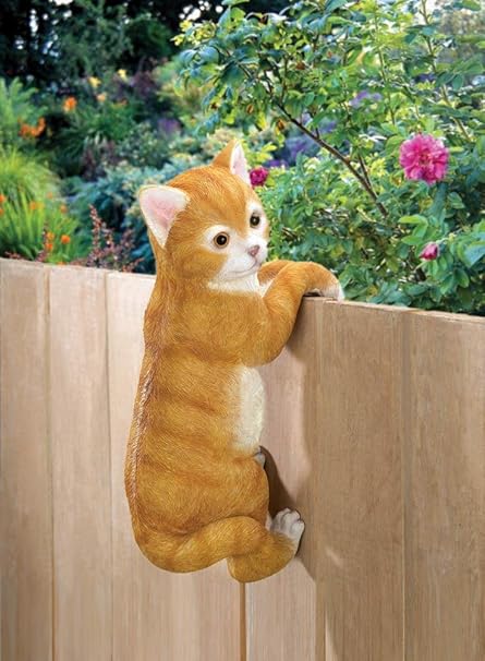 amazon cat fence