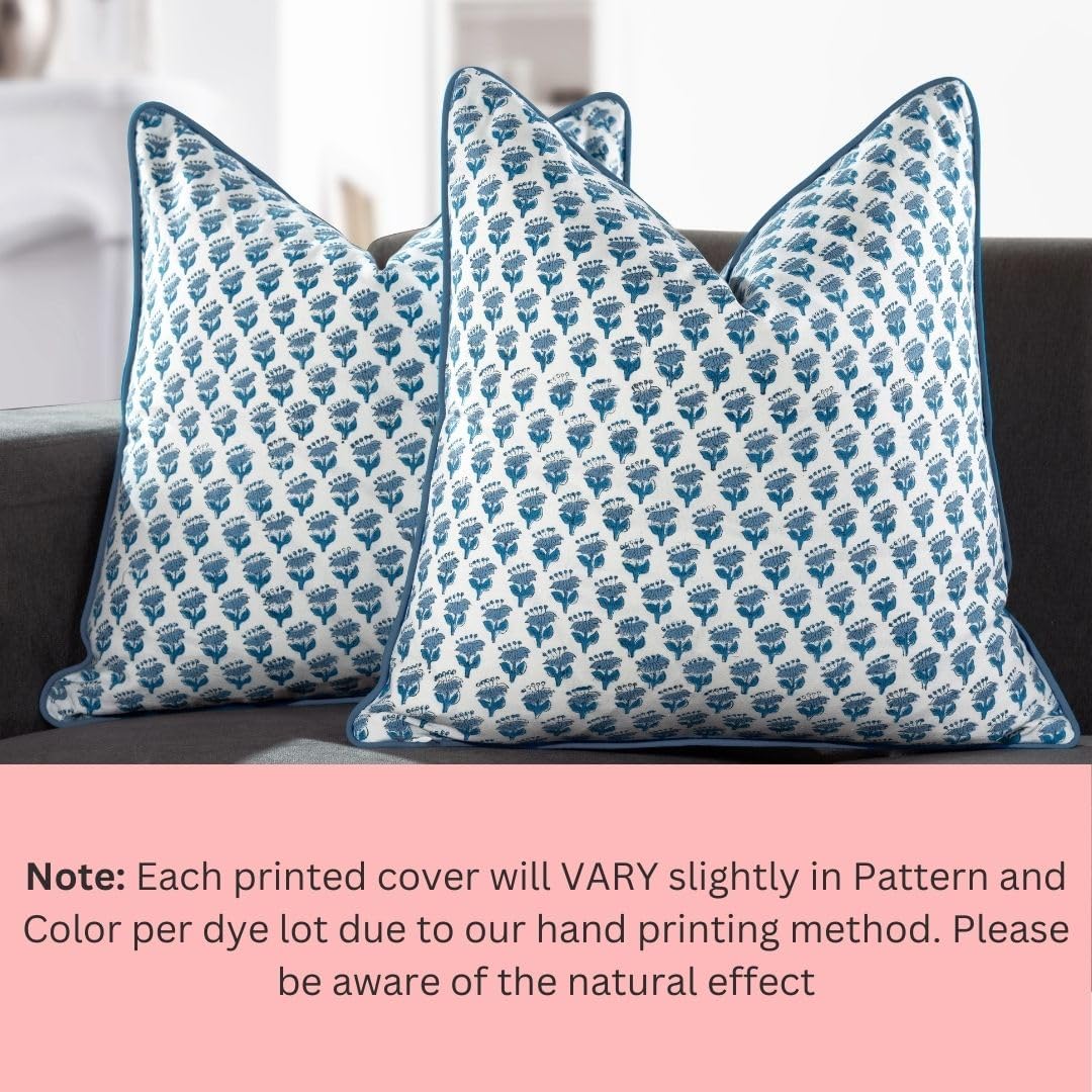 CPC 100% Cotton Throw Pillow Covers 20x20 Inch, Set of 2 Blue Block Print Pattern Couch Pillow, Cute Boho Decorative Pillows for Living Room, Bedroom with Hidden Zipper- Apatite Blue