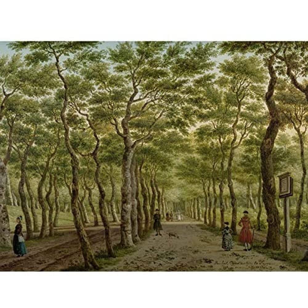 Artery8 La Fargue Herepad In The Hague Forest Landscape Art Print Canvas Premium Wall Decor Poster Mural