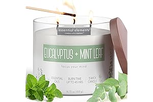Eucalyptus Mint Aromatherapy Candle: An Oasis of Tranquility for Home & Relaxation