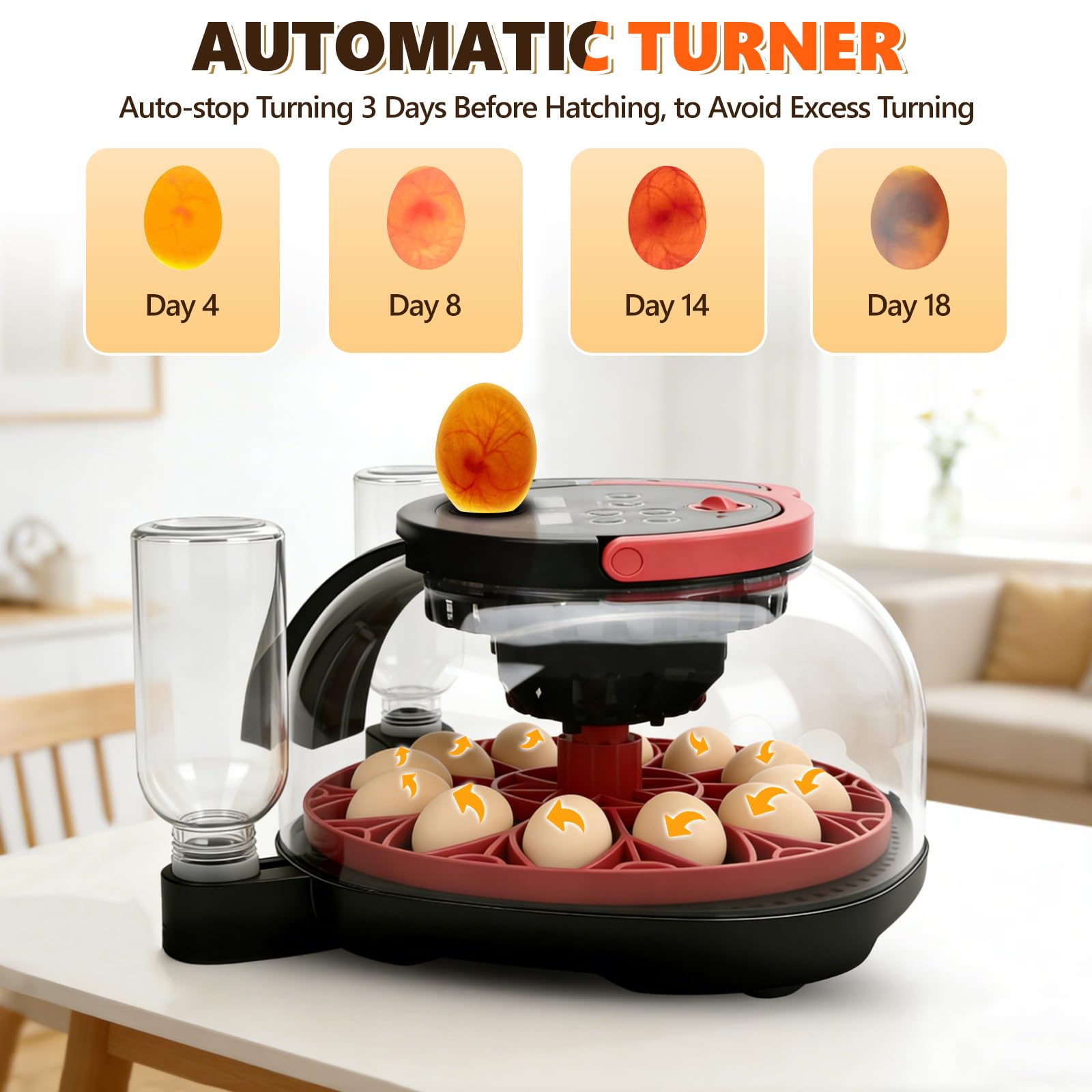 Incubatrice per Uova Automatica, incubatrice 12 uova incubatrice con telecomando rotazione automatica delle uova e controllo dell'umidità e temperatura, lampada per uova di gallina, visualizzazione