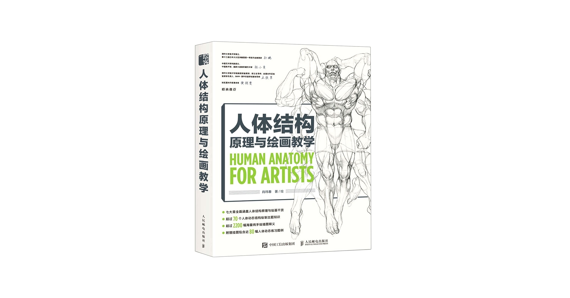 人体结构绘画教学 最新版 Amazon.com: 伯里曼人体结构绘画教学(附速写薄最新版