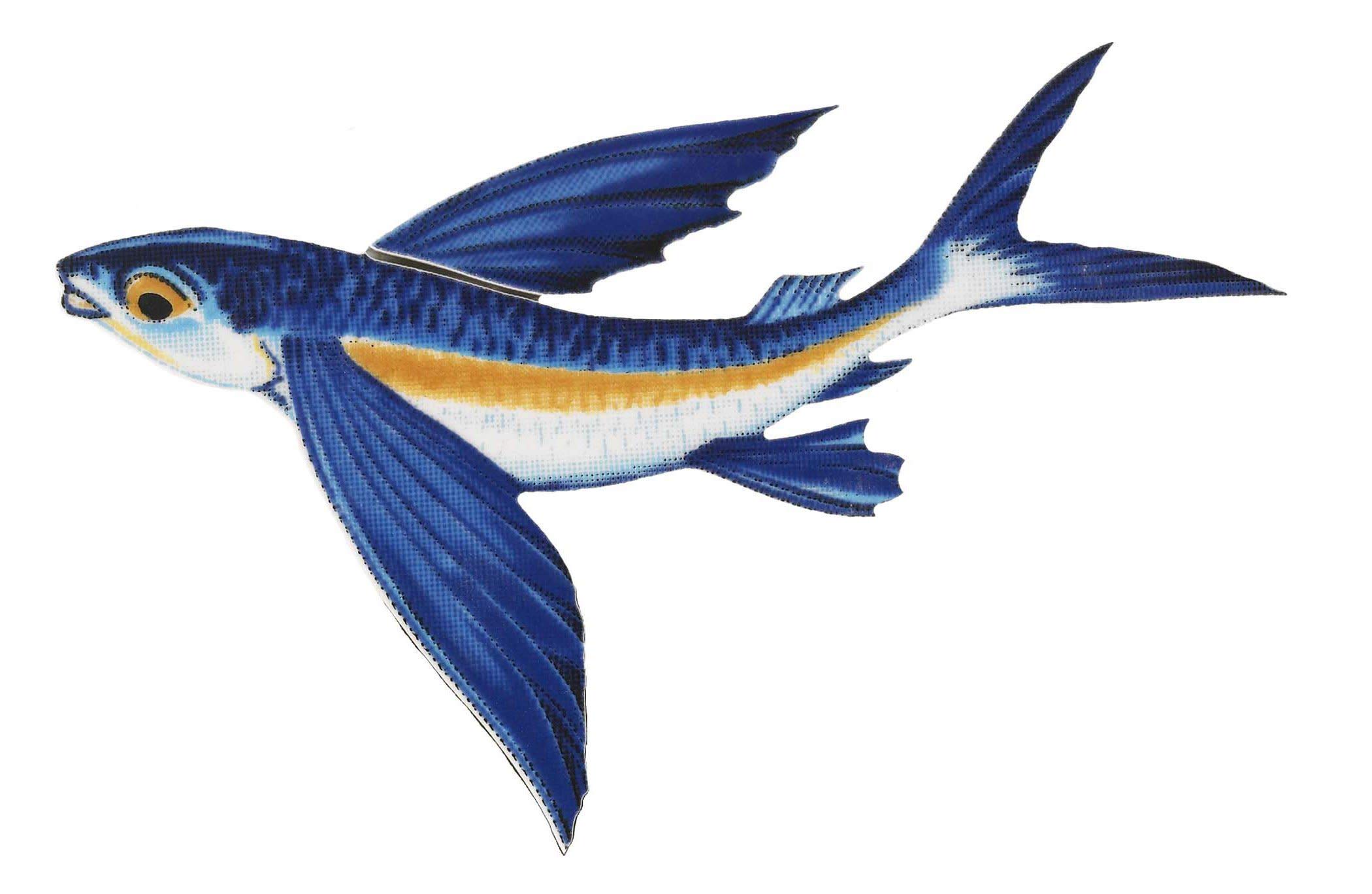 Flying Fish B Porcelain Swimming Pool Mosaic (8