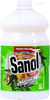 Sanol Desinfetante Líquido Para Uso Geral Eucalipto 5 Litros Branco