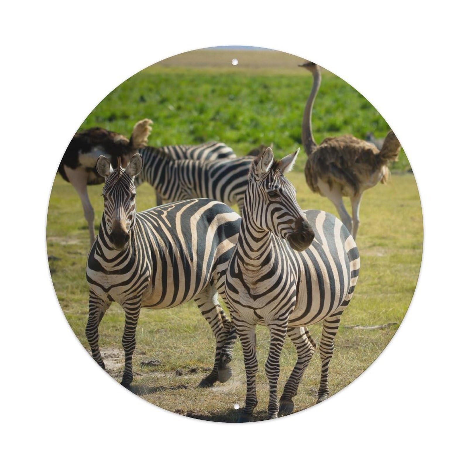 Wildlife Zebra And Ostrich Metal Tin Sign