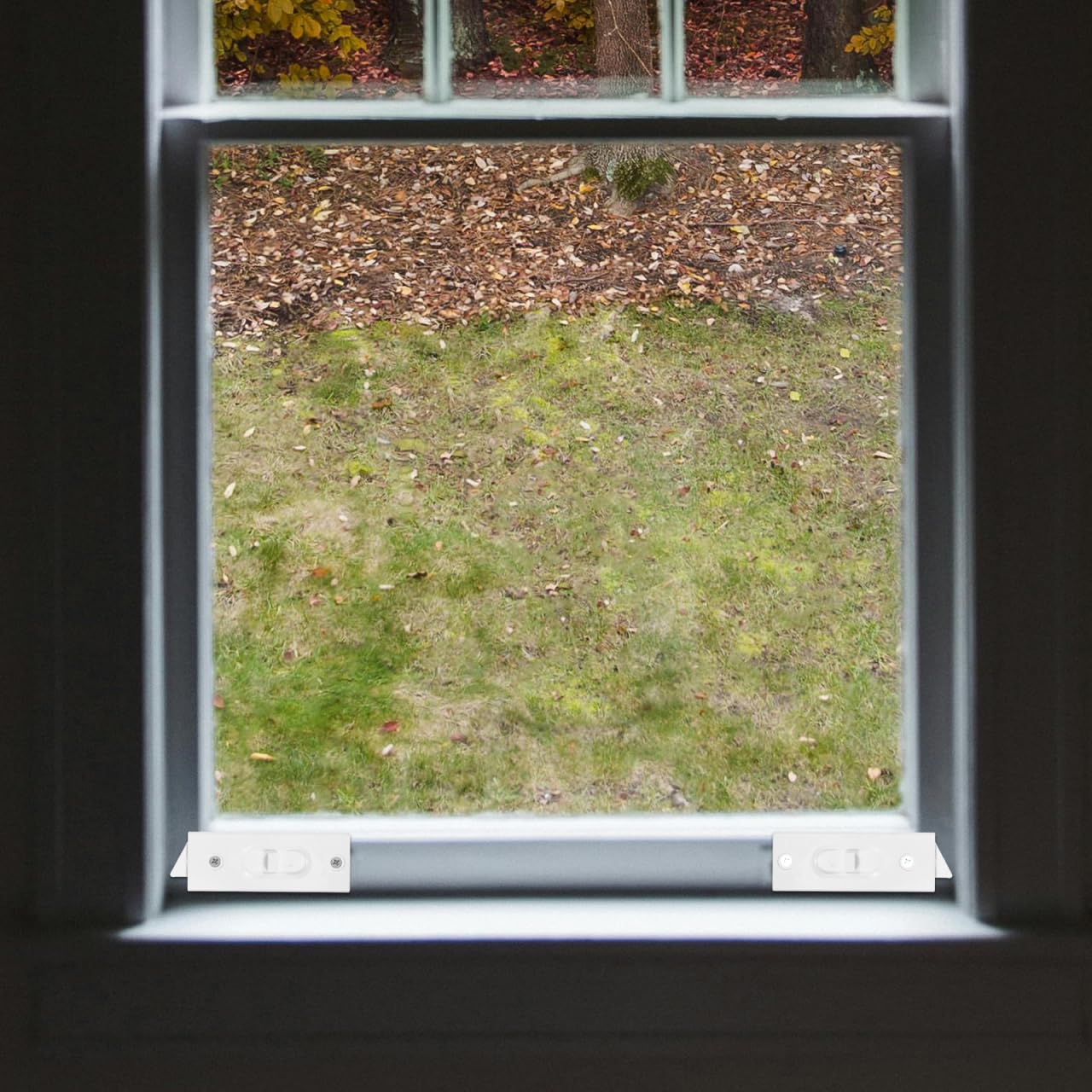 View 8