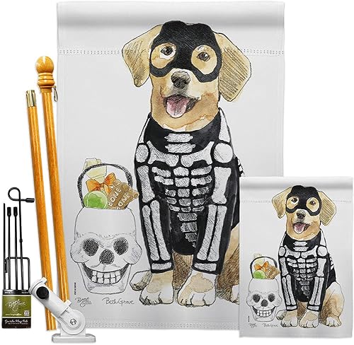 Spooky Skeleton Lab Garden House Flag – Kit Otoño Halloween Bruja Trick or Treat Night Black Cat Season Otoño Calabaza – Cartel decorativo pequeño